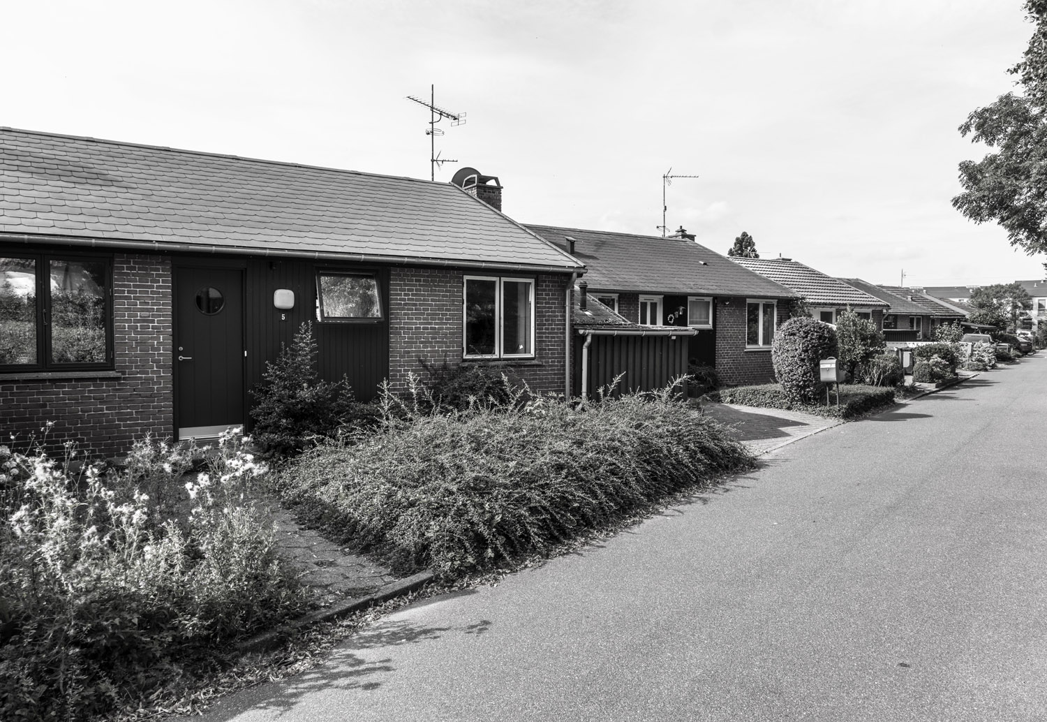 Kommunikation under lejeperioden mellem udlejer og lejer